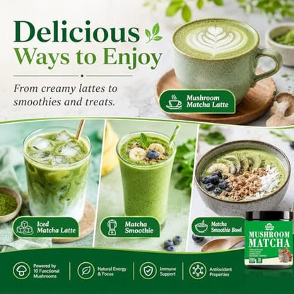 Suiyilary Mushroom Matcha – Zeremonieller Matcha-Pulver mit 7 Superfood-Pilzen, glutenfrei, 150 g (30 Portionen)