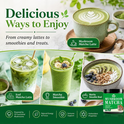 Suiyilary Mushroom Matcha – Zeremonieller Matcha-Pulver mit 7 Superfood-Pilzen, glutenfrei, 150 g (30 Portionen)