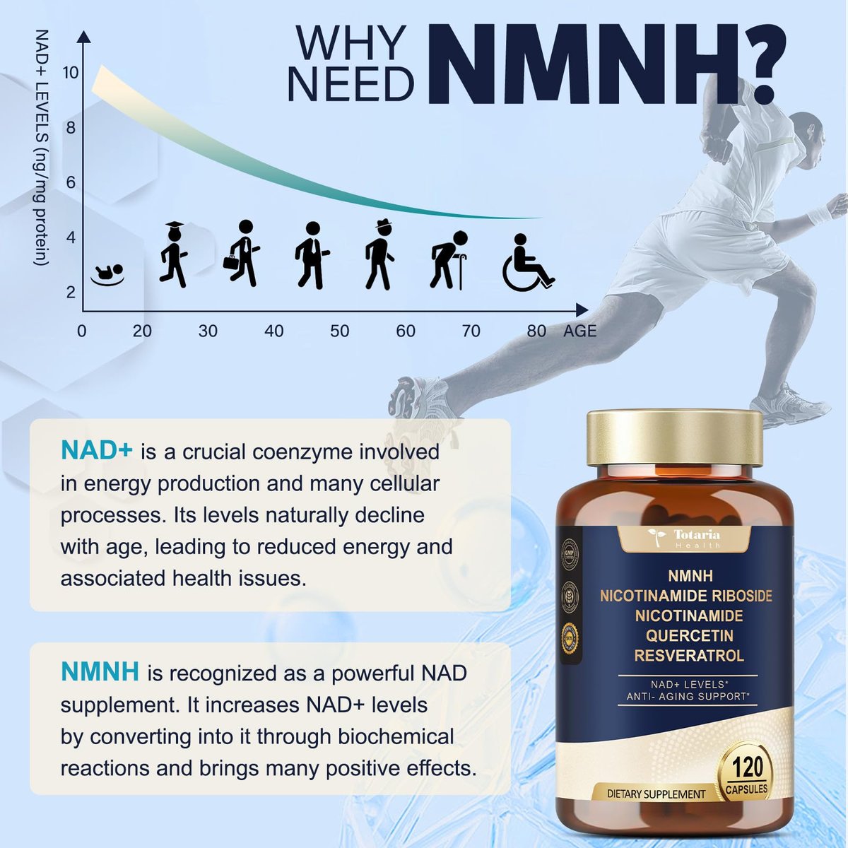 Totaria NMNH 500mg – Premium NMN-Alternative mit Niacinamid, Quercetin & Trans-Resveratrol für NAD+, Anti-Aging & Energie, 120 Kapseln