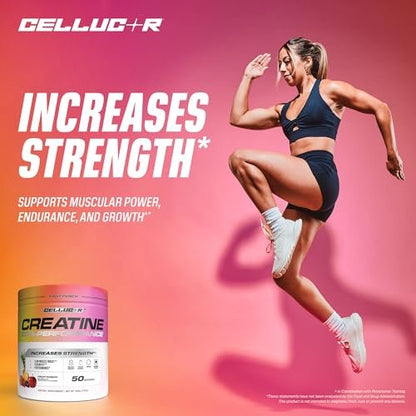 Cellucor Kreatinpulver, Fruchtpunsch-Geschmack – Steigert Kraft, Muskelmasse & Ausdauer, mikronisiertes Kreatin für schnelle Aufnahme, 5 g Kreatin pro Portion, 50 Portionen