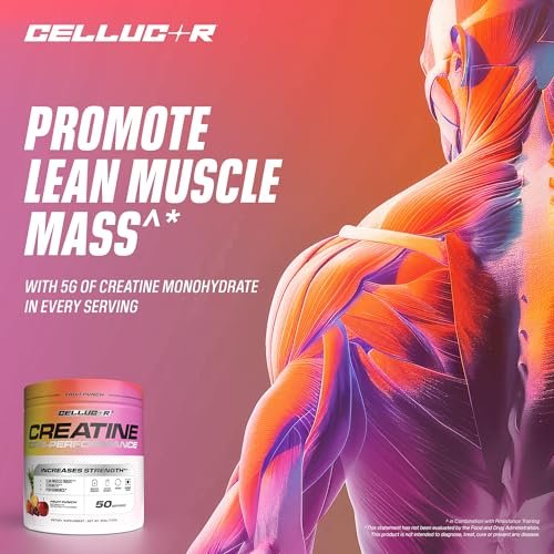 Cellucor Kreatinpulver, Fruchtpunsch-Geschmack – Steigert Kraft, Muskelmasse & Ausdauer, mikronisiertes Kreatin für schnelle Aufnahme, 5 g Kreatin pro Portion, 50 Portionen