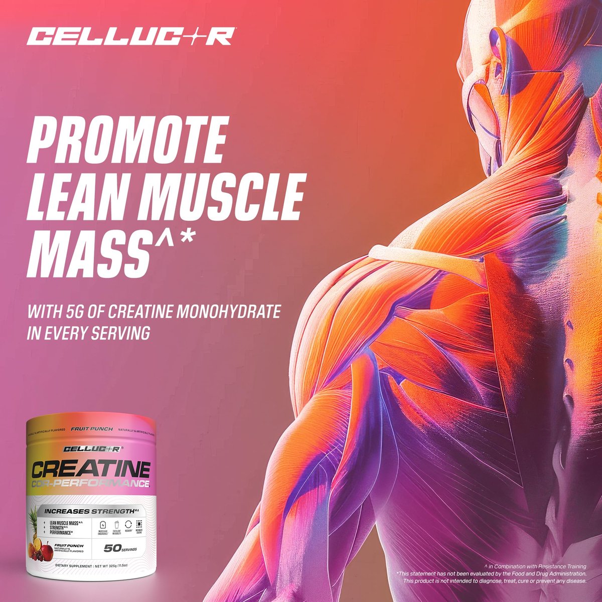 Cellucor Kreatinpulver, Fruchtpunsch-Geschmack – Steigert Kraft, Muskelmasse & Ausdauer, mikronisiertes Kreatin für schnelle Aufnahme, 5 g Kreatin pro Portion, 50 Portionen