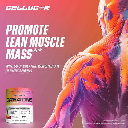 Cellucor Kreatinpulver, Fruchtpunsch-Geschmack – Steigert Kraft, Muskelmasse & Ausdauer, mikronisiertes Kreatin für schnelle Aufnahme, 5 g Kreatin pro Portion, 50 Portionen