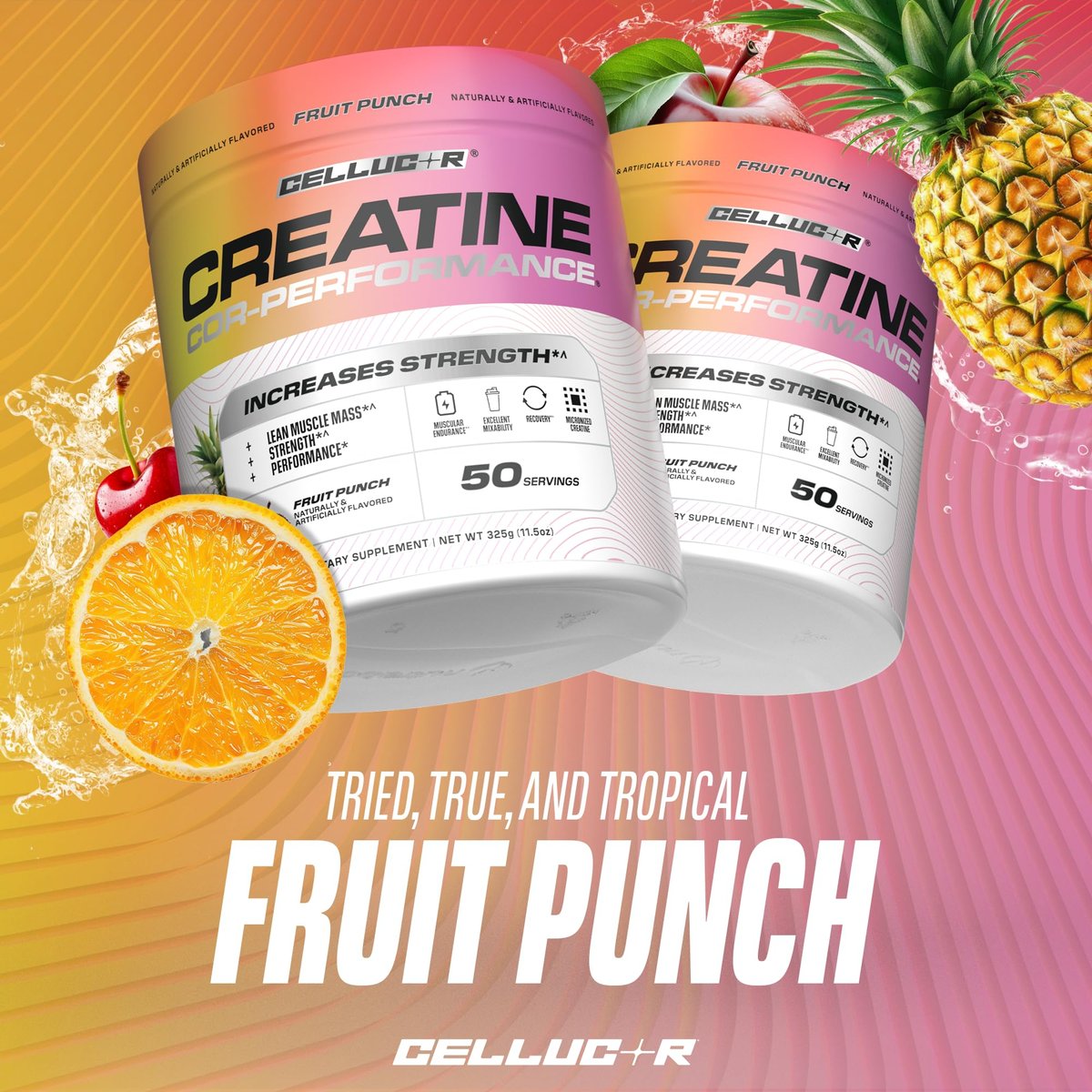 Cellucor Kreatinpulver, Fruchtpunsch-Geschmack – Steigert Kraft, Muskelmasse & Ausdauer, mikronisiertes Kreatin für schnelle Aufnahme, 5 g Kreatin pro Portion, 50 Portionen