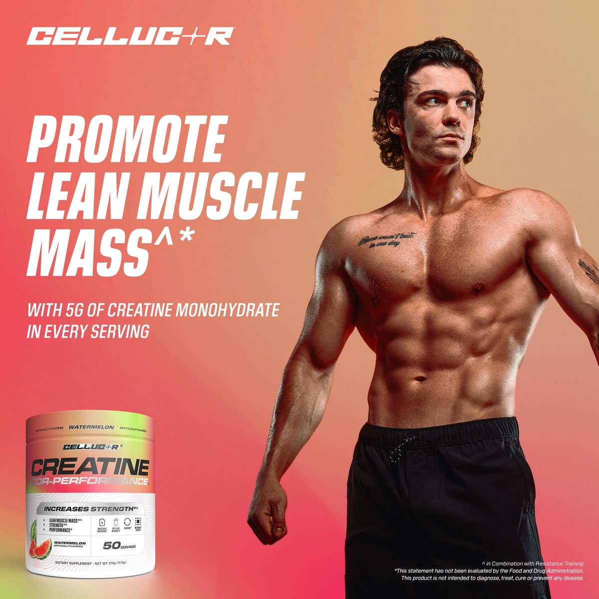 Cellucor Creatin-Pulver, Wassermelonengeschmack – Steigert Kraft, Muskelmasse & Ausdauer, mikronisiertes Creatin für schnelle Aufnahme, 5 g Creatin pro Portion, 50 Portionen
