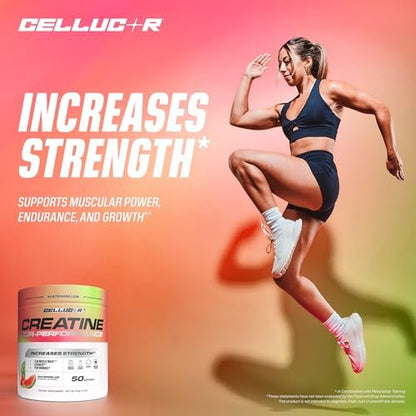 Cellucor Creatin-Pulver, Wassermelonengeschmack – Steigert Kraft, Muskelmasse & Ausdauer, mikronisiertes Creatin für schnelle Aufnahme, 5 g Creatin pro Portion, 50 Portionen