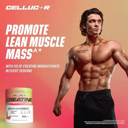 Cellucor Creatin-Pulver, Wassermelonengeschmack – Steigert Kraft, Muskelmasse & Ausdauer, mikronisiertes Creatin für schnelle Aufnahme, 5 g Creatin pro Portion, 50 Portionen