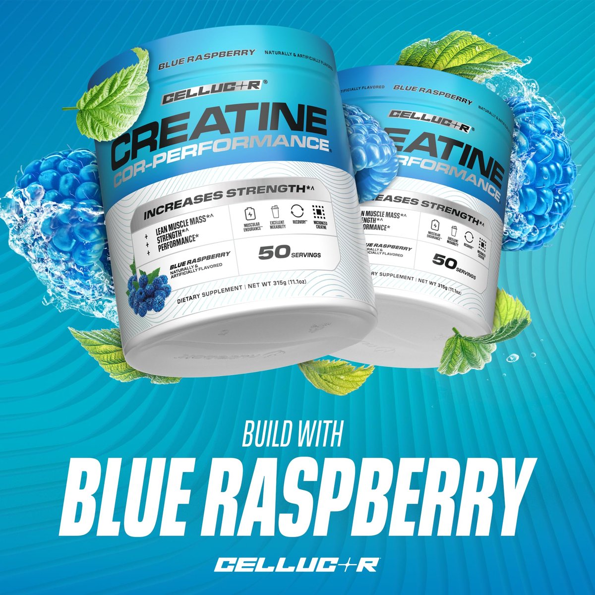 Cellucor Creatin Pulver, Blaue Himbeere – Steigert Kraft, Muskelmasse & Ausdauer, mikronisiertes Kreatin für schnelle Absorption, 5 g Kreatin pro Portion, 50 Portionen
