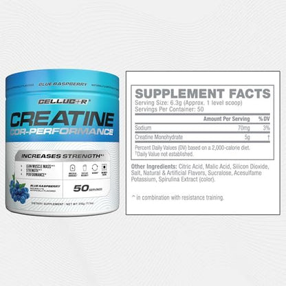 Cellucor Creatin Pulver, Blaue Himbeere – Steigert Kraft, Muskelmasse & Ausdauer, mikronisiertes Kreatin für schnelle Absorption, 5 g Kreatin pro Portion, 50 Portionen