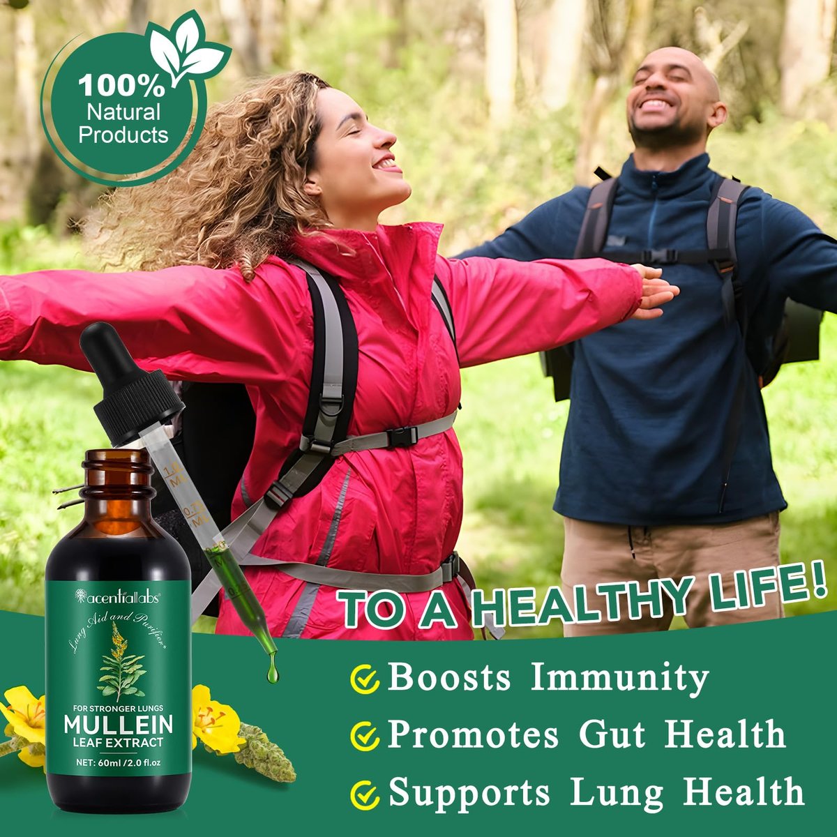 Mullein Tropfen für die Lunge – Natürlicher Königskerzen-Extrakt mit Chlorophyll zur Unterstützung der Atemwege (60 ml / 1 Packung)