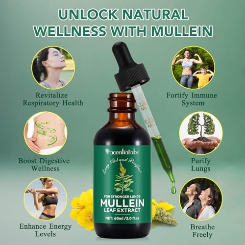 Mullein Tropfen für die Lunge – Natürlicher Königskerzen-Extrakt mit Chlorophyll zur Unterstützung der Atemwege (60 ml / 1 Packung)
