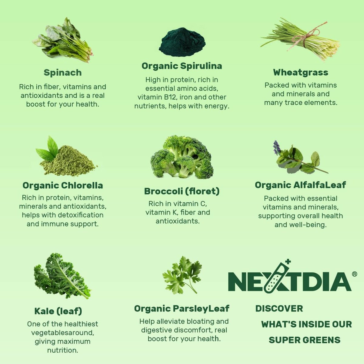 Super Greens Gummies – Spirulina, Chlorella, Präbiotika & Probiotika für Verdauung, Immunsystem & Energie (60 Stück)