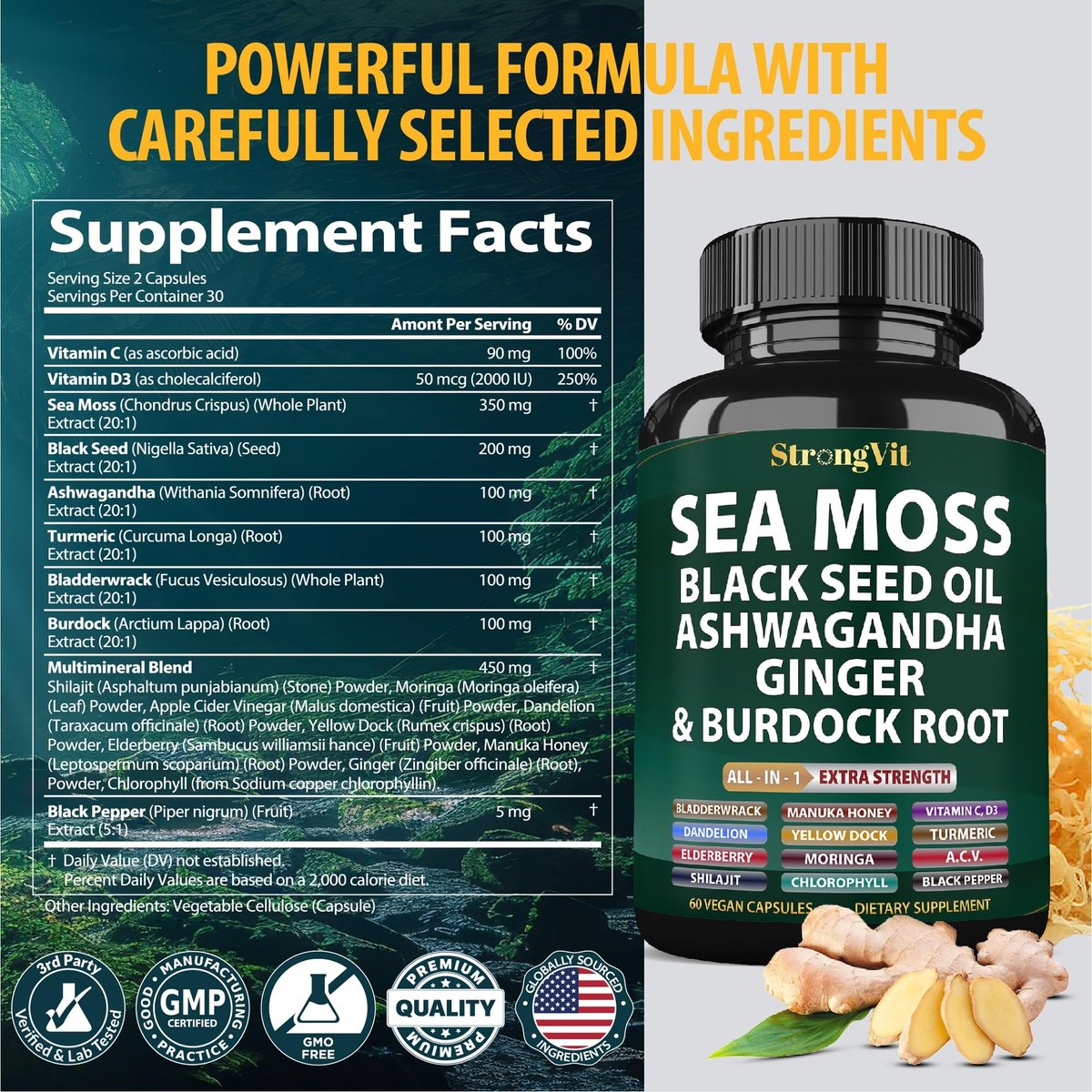 StrongVit Sea Moss Black Seed Oil Ashwagandha Ginger – Bio Seemoos Kapseln mit Klettenwurzel, irische Seemoos Pillen mit Bladderwrack, fortschrittliches Multimineralpräparat, USA