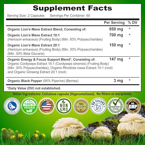 Bio Löwenmähne Kapseln mit Cordyceps, Rhodiola Rosea & Ginseng – 120 Kapseln für Energie & Fokus