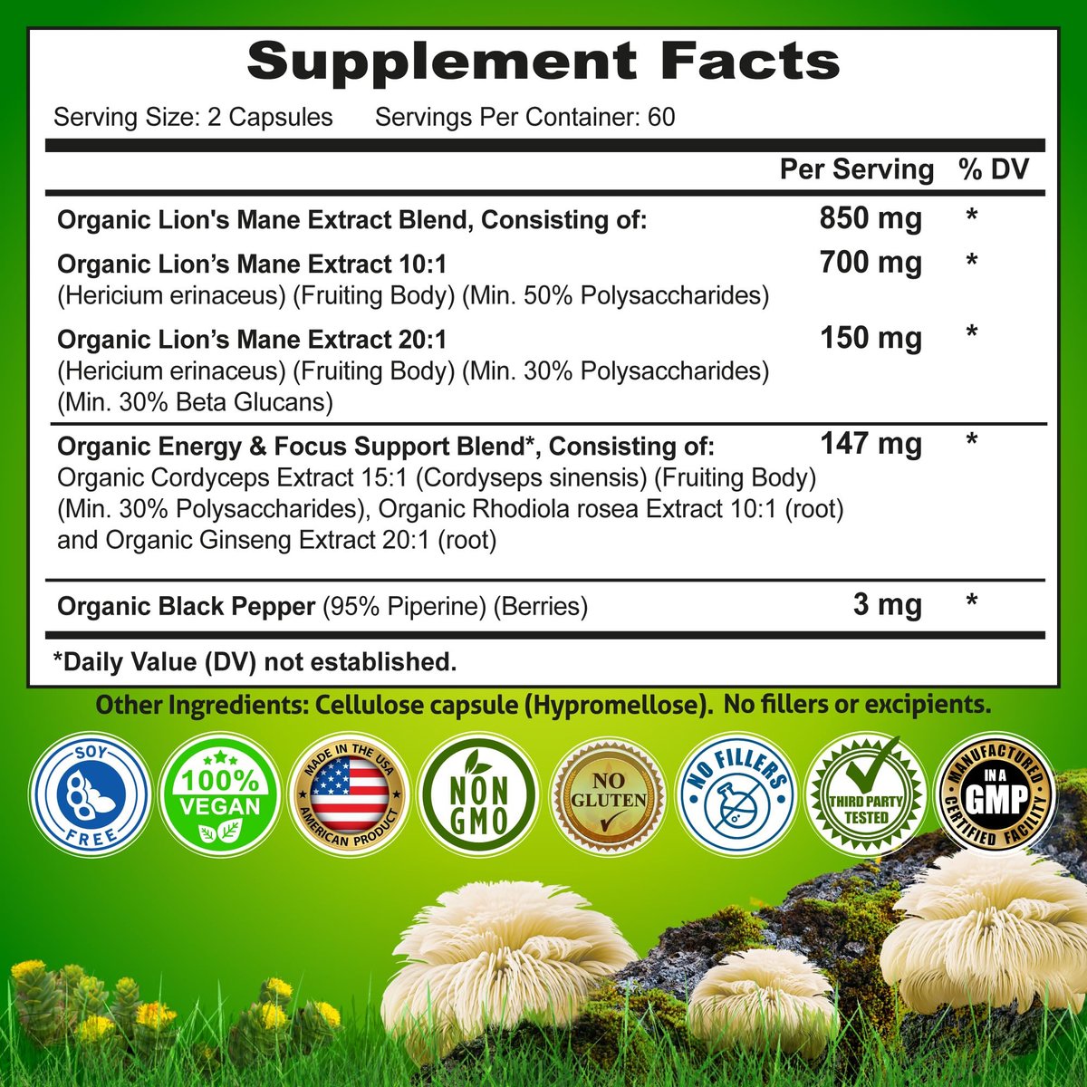 Bio Löwenmähne Kapseln mit Cordyceps, Rhodiola Rosea & Ginseng – 120 Kapseln für Energie & Fokus