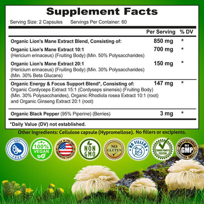 Bio Löwenmähne Kapseln mit Cordyceps, Rhodiola Rosea & Ginseng – 120 Kapseln für Energie & Fokus