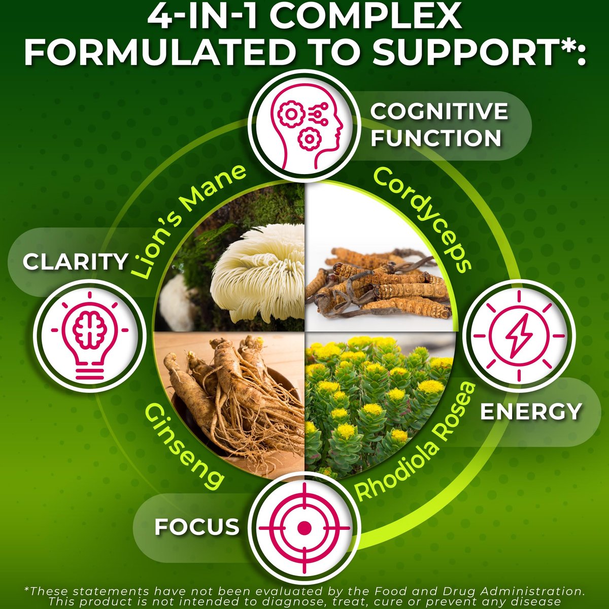 Bio Löwenmähne Kapseln mit Cordyceps, Rhodiola Rosea & Ginseng – 120 Kapseln für Energie & Fokus