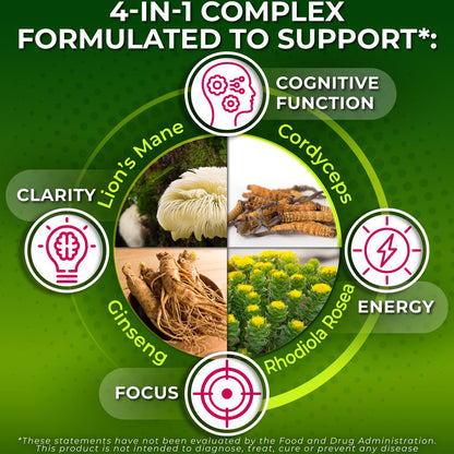 Bio Löwenmähne Kapseln mit Cordyceps, Rhodiola Rosea & Ginseng – 120 Kapseln für Energie & Fokus