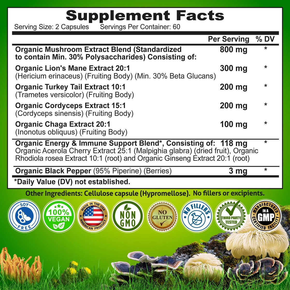Bio Pilzkomplex mit Löwenmähne, Truthahnschwanz, Cordyceps, Chaga, Rhodiola Rosea, Ginseng & Acerola-Kirsche – 120 Kapseln