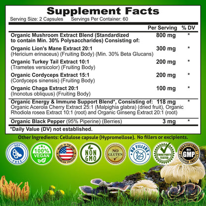 Bio Pilzkomplex mit Löwenmähne, Truthahnschwanz, Cordyceps, Chaga, Rhodiola Rosea, Ginseng & Acerola-Kirsche – 120 Kapseln