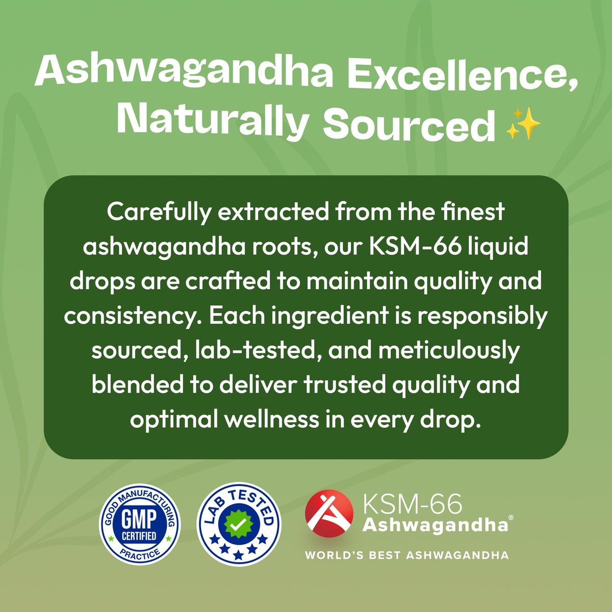 KSM-66 Ashwagandha Liquid Drops – Vegan, GMO-frei & schnell absorbierend – Ashwagandha-Präparat für tägliches Wohlbefinden – Fördert Fokus und Klarheit – Unterstützt tägliche Vitalität (Mixed Berry, 60 ml)