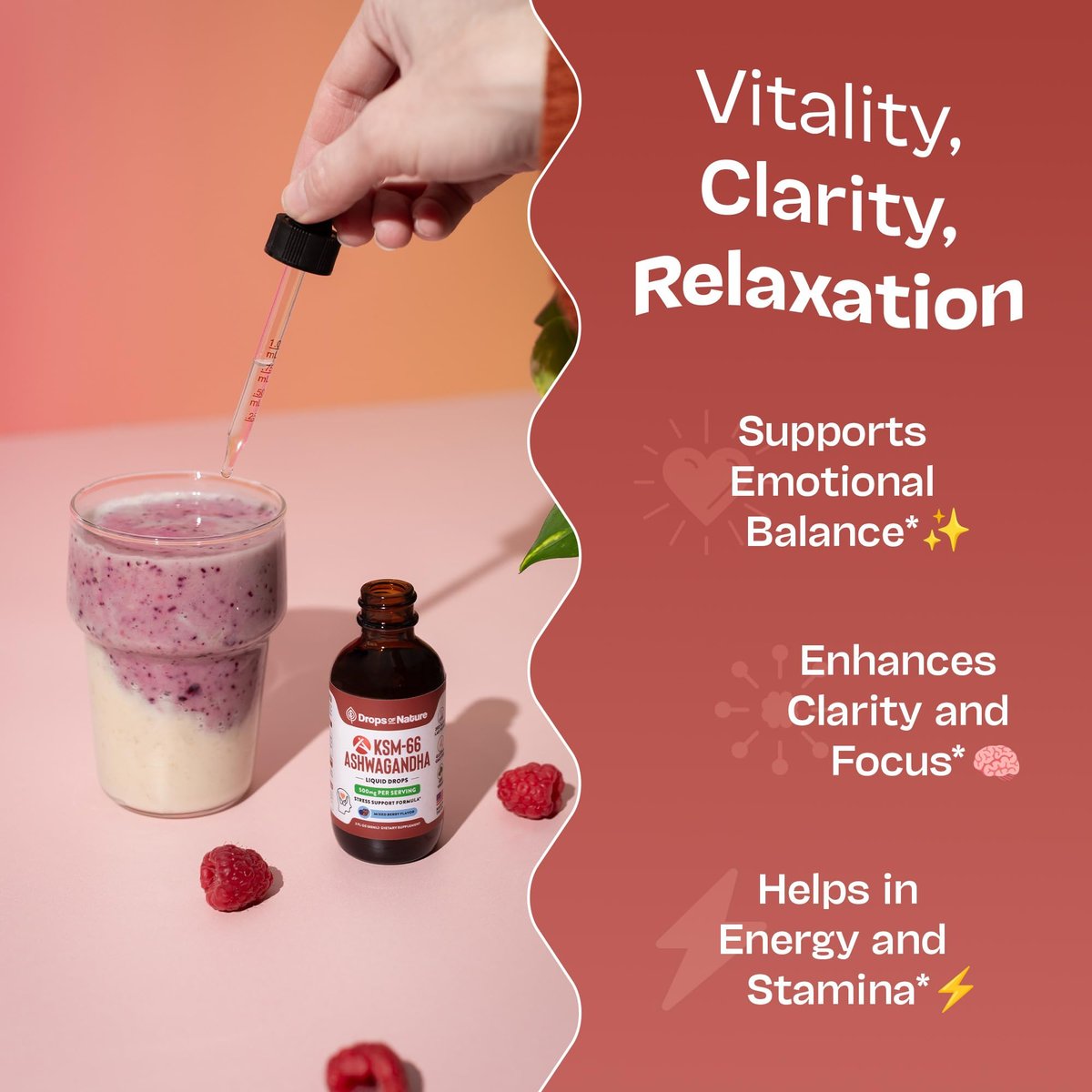KSM-66 Ashwagandha Liquid Drops – Vegan, GMO-frei & schnell absorbierend – Ashwagandha-Präparat für tägliches Wohlbefinden – Fördert Fokus und Klarheit – Unterstützt tägliche Vitalität (Mixed Berry, 60 ml)
