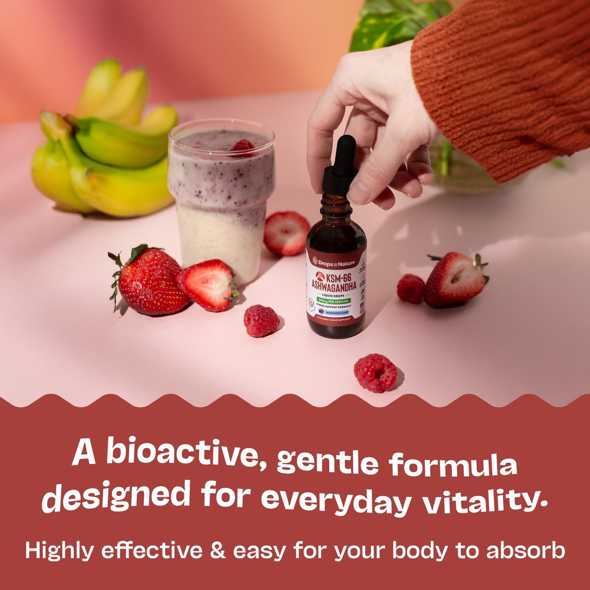 KSM-66 Ashwagandha Liquid Drops – Vegan, GMO-frei & schnell absorbierend – Ashwagandha-Präparat für tägliches Wohlbefinden – Fördert Fokus und Klarheit – Unterstützt tägliche Vitalität (Mixed Berry, 60 ml)