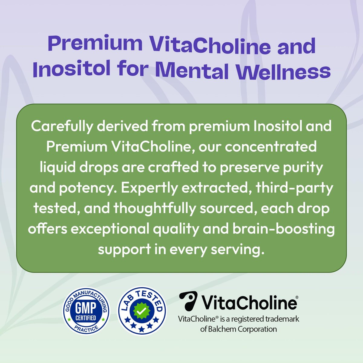 Inositol & Cholin Liquid Drops – Vegan, Nicht-GVO, Leicht einzunehmen – Verbesserte Absorption Inositol Supplement – Pränatale Vitamine für Frauen – Unterstützt Zellgesundheit & Allgemeines Wohlbefinden (Waldbeere, 60ml)