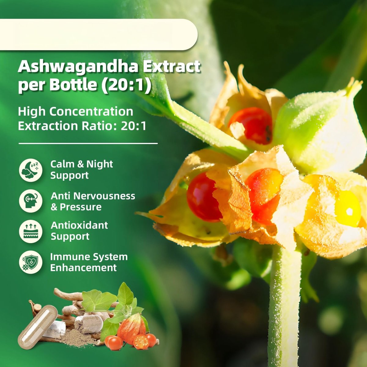 B BEWORTHS Cortisol-Supplement für Frauen und Männer, 10-in-1 Cortisol-Detox mit Ashwagandha, Magnesium, L-Theanin, Ausgeglichener Cortisolspiegel, Nacht- und Beruhigungsunterstützung, 120 vegane Kapseln