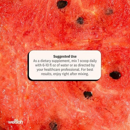 Wellah Creatin für Frauen - Kreatin Monohydrat mit Löwenzahn & Cranberry Extrakt (50 Portionen, Wassermelonen Slush)