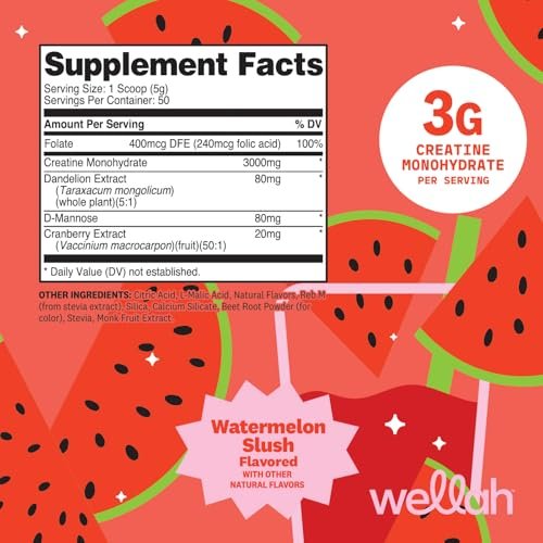 Wellah Creatin für Frauen - Kreatin Monohydrat mit Löwenzahn & Cranberry Extrakt (50 Portionen, Wassermelonen Slush)
