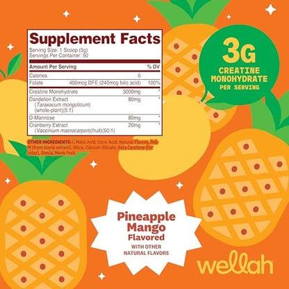 Wellah Creatin für Frauen – Creatin-Monohydrat mit Löwenzahn & Cranberry-Extrakt (50 Portionen, Ananas-Mango)
