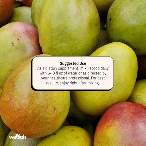 Wellah Creatin für Frauen – Creatin-Monohydrat mit Löwenzahn & Cranberry-Extrakt (50 Portionen, Ananas-Mango)