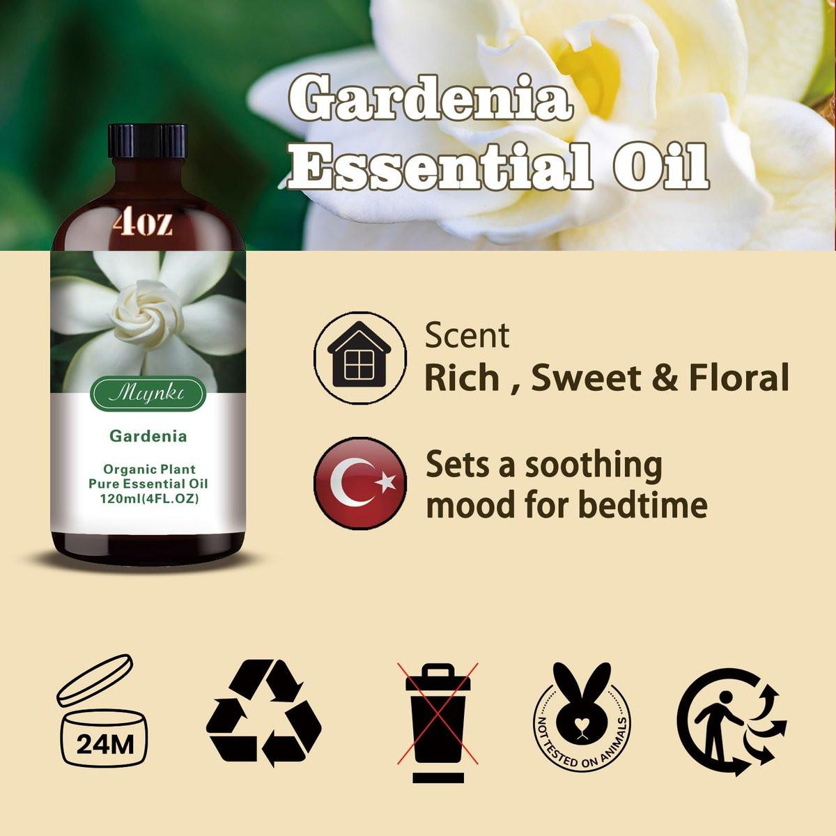 Gardenia Ätherisches Öl – Gardenia Duftöl für Diffuser, Luftbefeuchter, DIY Kerzen, Seife, romantischer Duft, Massage, geschenkfertig – MLYNKL Gardenia Öl (4,33 fl oz / 130 ml)