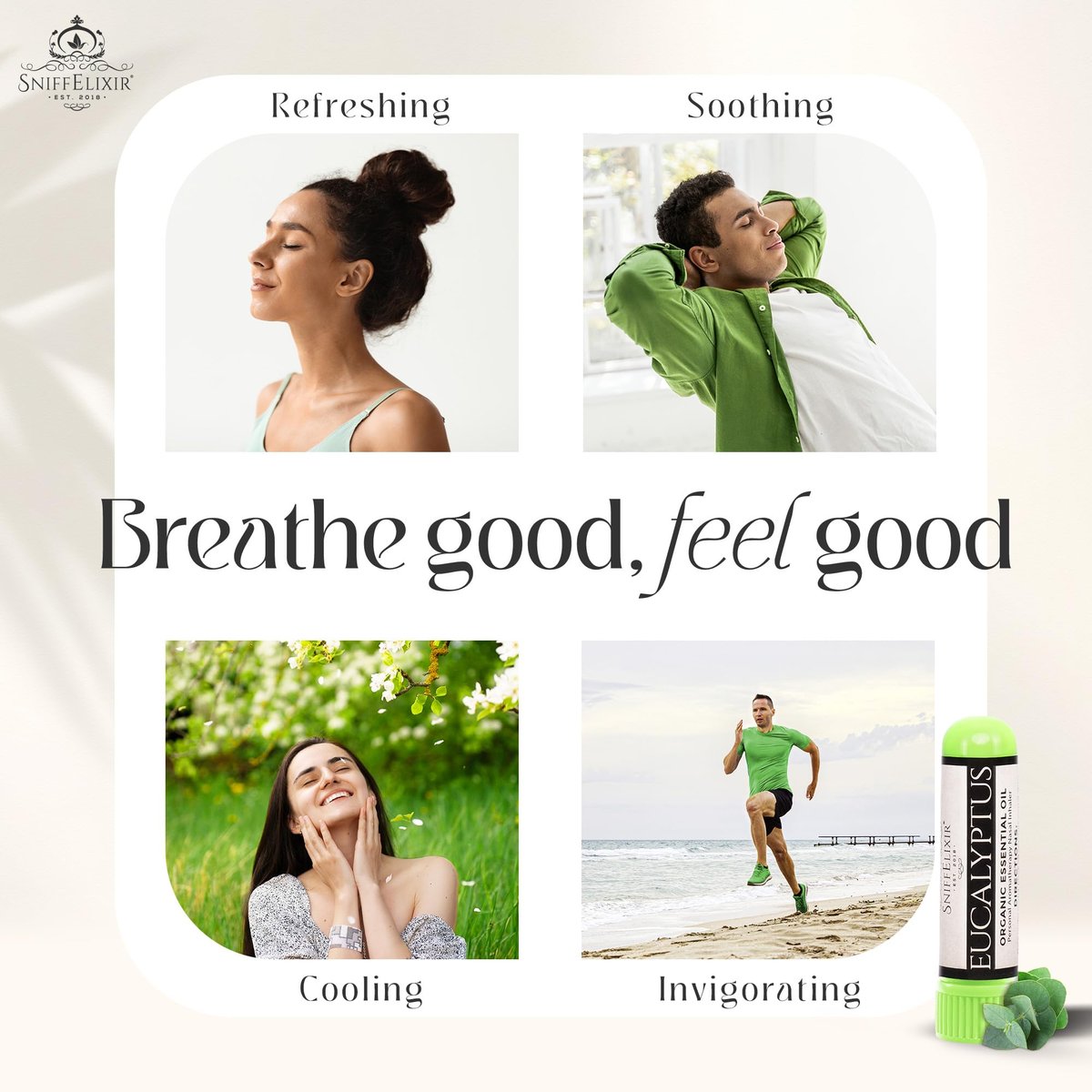 Eukalyptus ätherisches Öl Aromatherapie Nasal Stick Vapor Inhaler - Allergielinderung, USA hergestellt mit biologischen ätherischen Ölen, natürliche Atemunterstützung