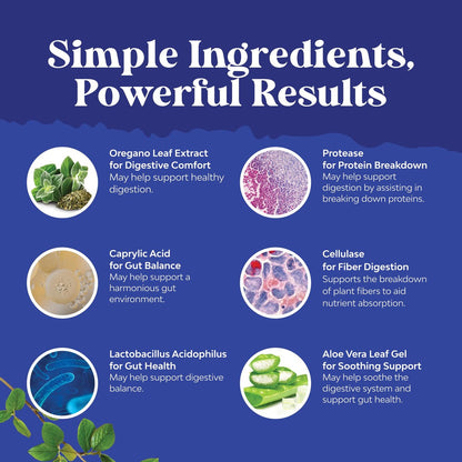 Natures Craft Candida Reinigung Körperentgiftung für Frauen - Anti-Überwucherung Darmreinigung mit Caprylsäure, Schwarznuss, Wermut und Oregano - Ganzkörperreinigung mit Prä- und Probiotika - 60 Kapseln