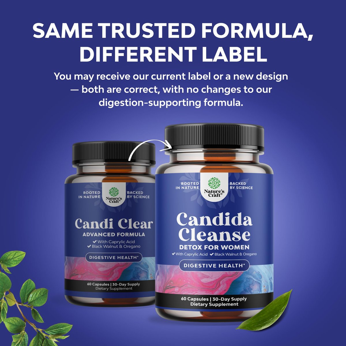 Natures Craft Candida Reinigung Körperentgiftung für Frauen - Anti-Überwucherung Darmreinigung mit Caprylsäure, Schwarznuss, Wermut und Oregano - Ganzkörperreinigung mit Prä- und Probiotika - 60 Kapseln