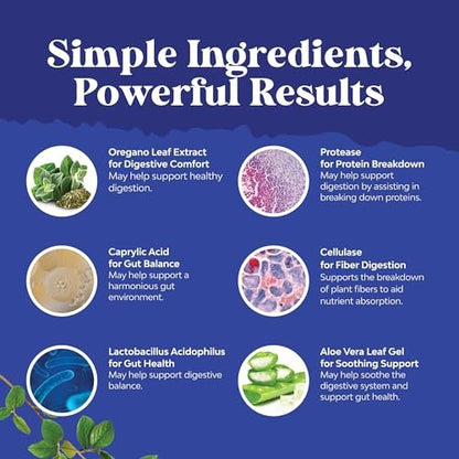 Natures Craft Candida Reinigung Körperentgiftung für Frauen - Anti-Überwucherung Darmreinigung mit Caprylsäure, Schwarznuss, Wermut und Oregano - Ganzkörperreinigung mit Prä- und Probiotika - 60 Kapseln