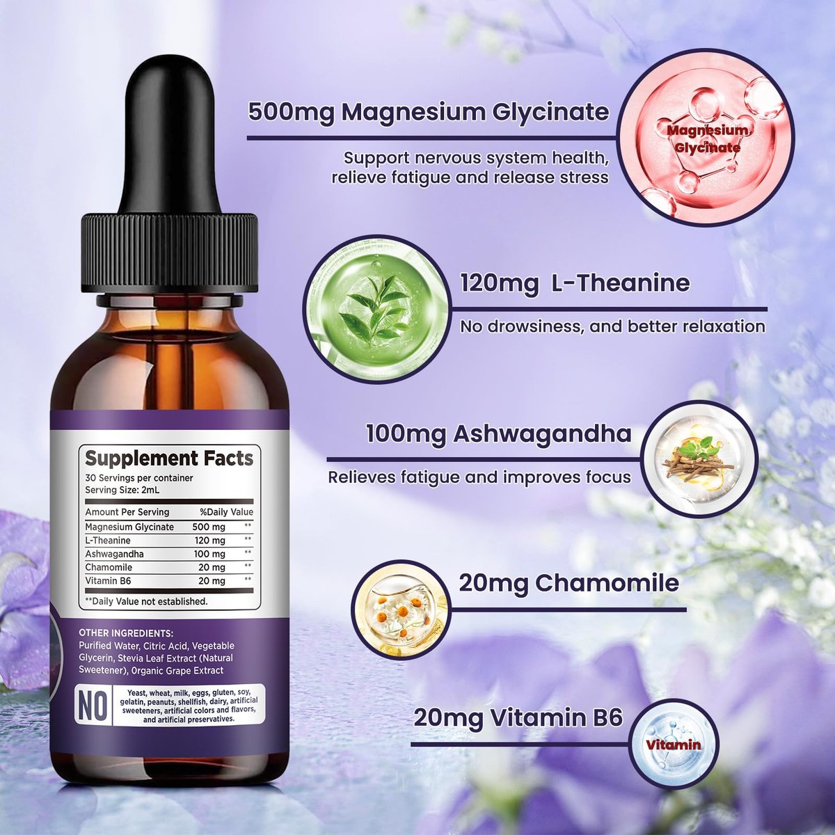 Dilib Magnesium Glycinat Flüssige Tropfen 500mg mit Vitamin B6, Ashwagandha, L-Theanin, Kamille – Hochdosiertes Magnesiumpräparat für Schlaf, Stress, Energie & Stimmung – Traubengeschmack, 60 ml