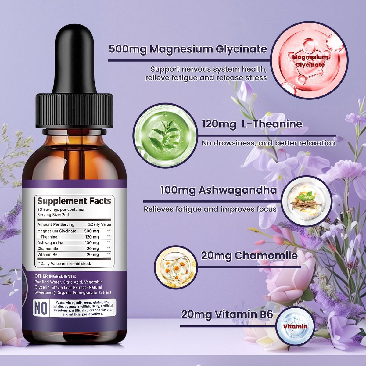 Dilib Magnesium Glycinate Liquid Drops 500 mg – mit Vitamin B6, Ashwagandha, L-Theanin, Kamille – Hoch bioverfügbar für Schlaf, Stress, Energie, Stimmung – Pomegranate Geschmack