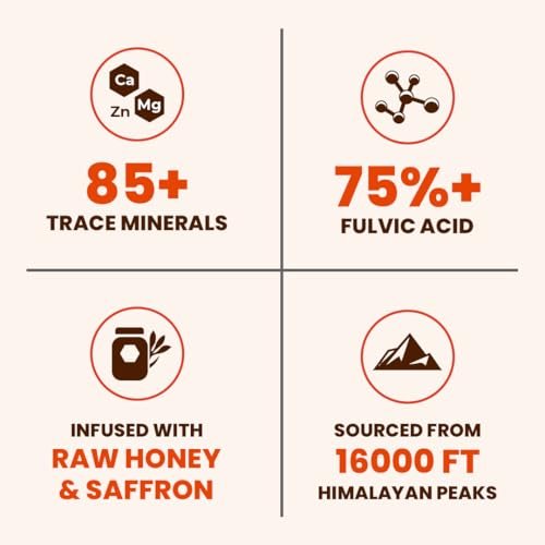 Natruveda Himalayan Shilajit Honey Sticks - 75%+ Fulvinsäure & Spurenelemente - Rohhonig, Safran & Shilajit-Harz - 10 Sticks