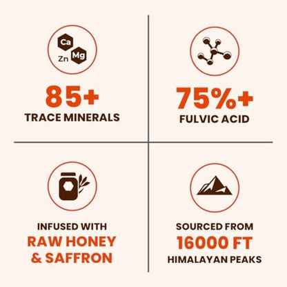 Natruveda Himalayan Shilajit Honey Sticks - 75%+ Fulvinsäure & Spurenelemente - Rohhonig, Safran & Shilajit-Harz - 10 Sticks