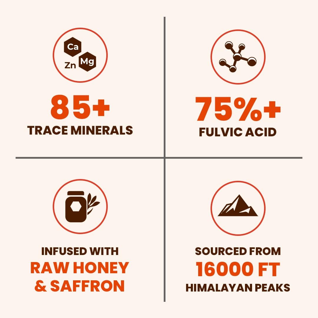 Natruveda Himalayan Shilajit Honey Sticks - 75%+ Fulvinsäure & Spurenelemente - Rohhonig, Safran & Shilajit-Harz - 10 Sticks