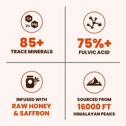 Natruveda Himalayan Shilajit Honey Sticks - 75%+ Fulvinsäure & Spurenelemente - Rohhonig, Safran & Shilajit-Harz - 10 Sticks