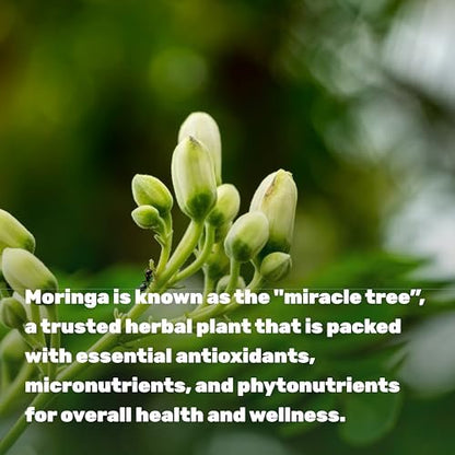 Moringa Kapseln 240 Kapseln – 4 Monate Vorrat – Höchste Reinheit Reiner Moringa Blattextrakt – Komplettes grünes Superfood für Energie, Haut & Immunsystem*