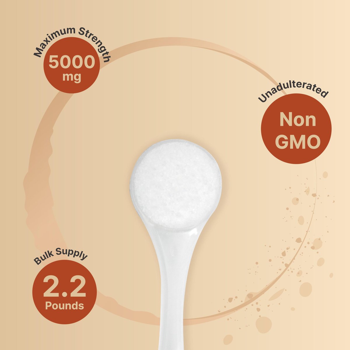 NatureBell Kreatin-Monohydrat Pulver 1000g, 5000mg pro Portion, 200 Portionen (2,2 lb) | Mikronisiert, Rein & Ungeschmackt | Pre-Workout Muskelunterstützung* | Keto, Vegan, Ohne Füllstoffe