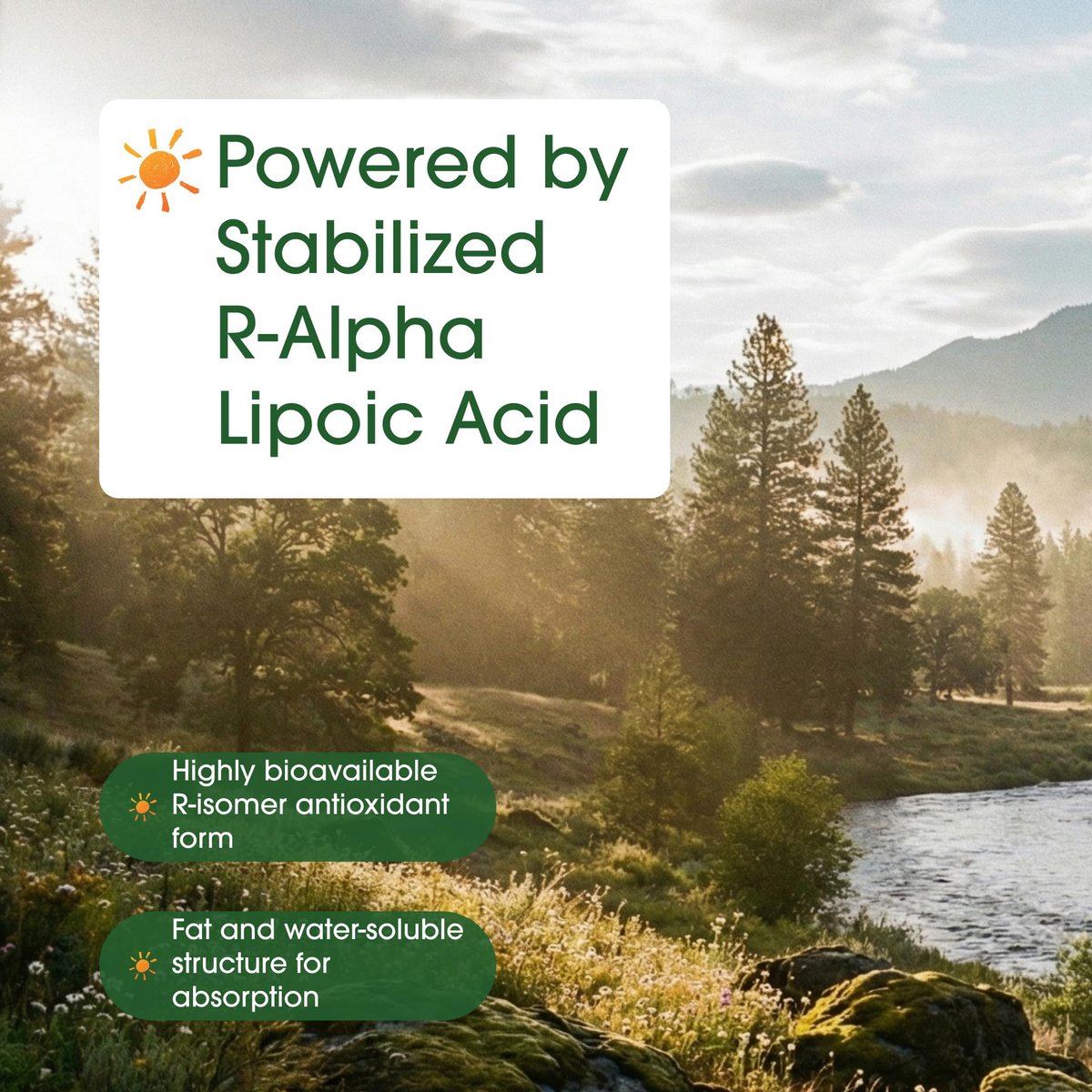 NatureBell R-Alpha-Liponsäure - 90 Kapseln - 1.200 mg R-ALA pro Portion - Antioxidans & zelluläre Energieunterstützung* - Stabilisiertes R-Isomer ALA - Non-GMO & Glutenfrei