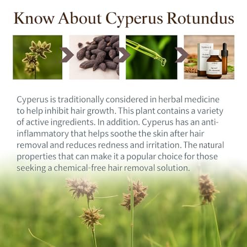 Cyperus Rotundus Öl zur Haarentfernung 2er-Pack – 100% reines natürliches Zypernöl – Organischer Kräuterwurzelextrakt für glatte Haut, Reduzierung von Körperbehaarung, eingewachsenen Haaren & Pflege – 60 ml