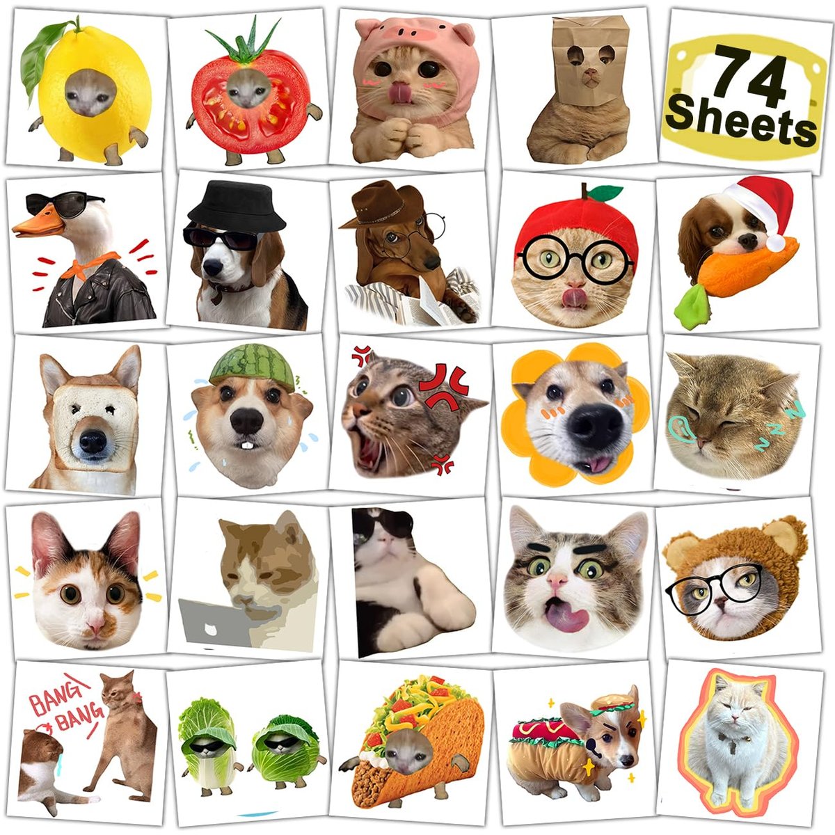 CHARLENT Lustige Katzen Meme Temporäre Tattoos - 74 Einzelne Blätter, Witzige Tiermeme Tattoos für Geburtstagsdekoration, Partyzubehör, Schulbelohnungen, Geschenkideen für Mädchen und Jungen