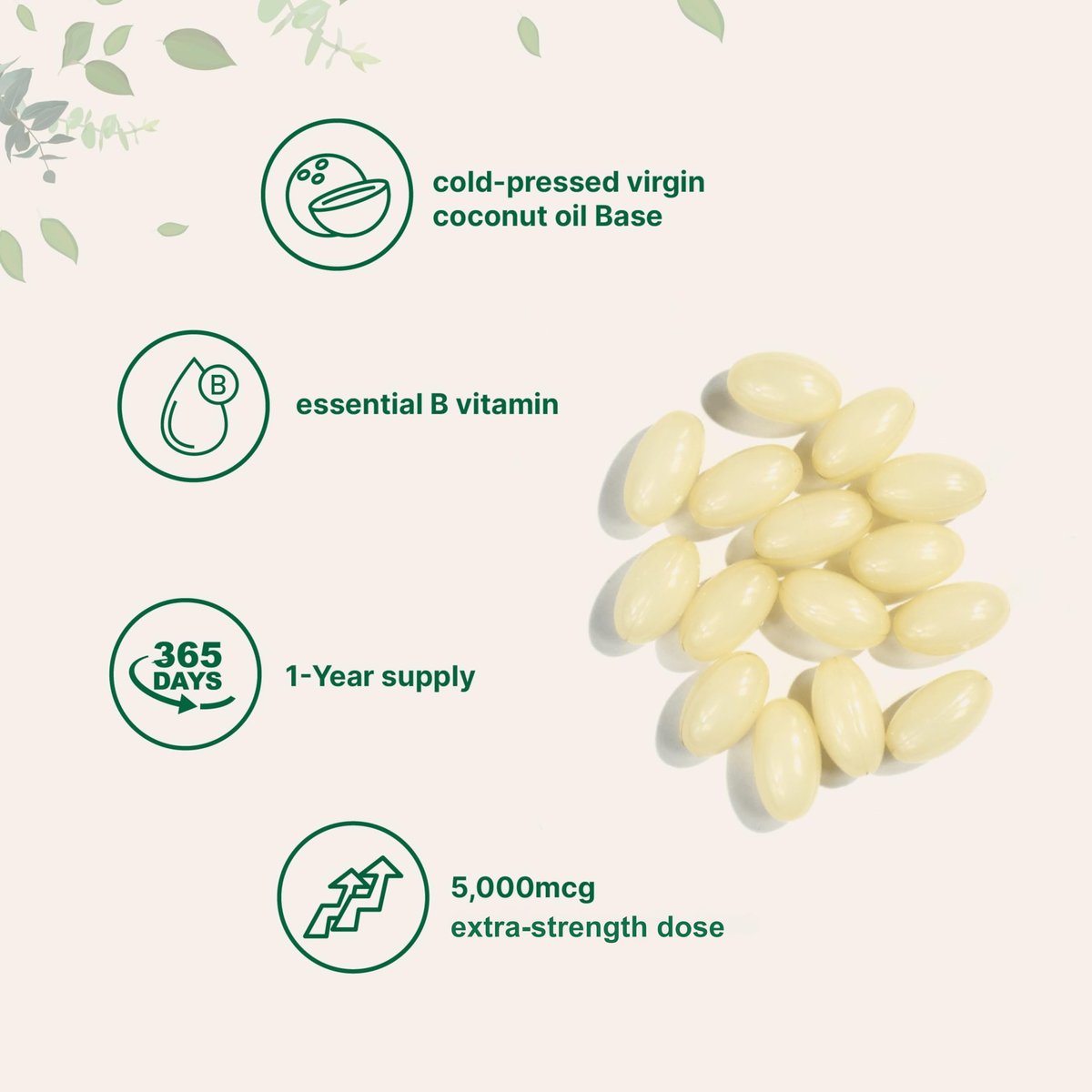 Micro Ingredients Biotin 5.000 mcg | 365 Weichkapseln mit Virgin Kokosnussöl, Schnelle Freisetzung, Jahresvorrat | Unterstützt gesundes Haar, Haut & Nägel | Nicht-GMO, Ohne Gluten